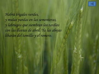 Habrá trigales verdes,  y mulas pardas en las sementeras,  y labriegos que siembran los tardíos  con las lluvias de abril. Ya las abejas  libarán del tomillo y el romero.  