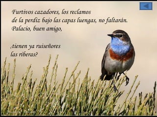 Furtivos cazadores, los reclamos  de la perdiz bajo las capas luengas, no faltarán. Palacio, buen amigo,  ¿ tienen ya ruiseñores  las riberas?  