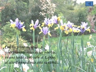 Con los primeros lirios  y las primeras rosas de las huertas,  en una tarde azul, sube al Espino,  al alto Espino donde está su tierra... 
