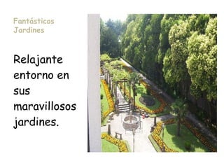 Fantásticos
Jardines
Relajante
entorno en
sus
maravillosos
jardines.