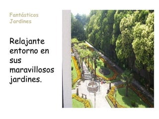 Fantásticos
Jardines
Relajante
entorno en
sus
maravillosos
jardines.