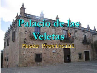 Palacio de las
   Veletas
 Museo Provincial
 