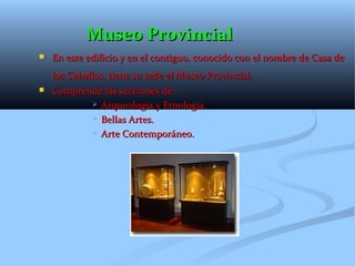 Museo Provincial
   En este edificio y en el contiguo, conocido con el nombre de Casa de
    los Caballos, tiene su sede el Museo Provincial.
   Comprende las secciones de :
            Arqueología y Etnología.

            Bellas Artes.

            Arte Contemporáneo.
 