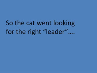 He is not the leader I want.So the cat went lookingfor the right “leader”….Woof! They don’t under-stand you.  Say it right!
