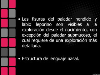 • Las fisuras del paladar hendido y
  labio leporino son visibles a la
  exploración desde el nacimiento, con
  excepción del paladar submucoso, el
  cual requiere de una exploración más
  detallada.

• Estructura de lenguaje nasal.
 