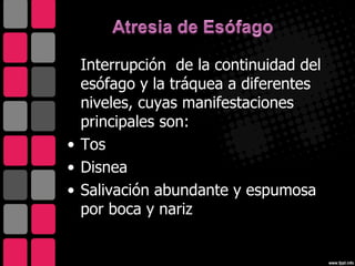 Interrupción de la continuidad del
  esófago y la tráquea a diferentes
  niveles, cuyas manifestaciones
  principales son:
• Tos
• Disnea
• Salivación abundante y espumosa
  por boca y nariz
 
