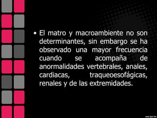 • El matro y macroambiente no son
  determinantes, sin embargo se ha
  observado una mayor frecuencia
  cuando     se      acompaña     de
  anormalidades vertebrales, anales,
  cardiacas,       traqueoesofágicas,
  renales y de las extremidades.
 