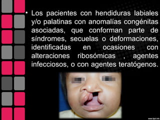 • Los pacientes con hendiduras labiales
  y/o palatinas con anomalías congénitas
  asociadas, que conforman parte de
  síndromes, secuelas o deformaciones,
  identificadas    en   ocasiones     con
  alteraciones ribosómicas , agentes
  infecciosos, o con agentes teratógenos.
 