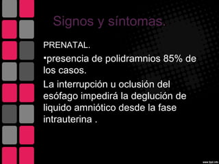 Signos y síntomas.
PRENATAL.
•presencia de polidramnios 85% de
los casos.
La interrupción u oclusión del
esófago impedirá la deglución de
liquido amniótico desde la fase
intrauterina .
 