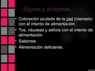 Signos y síntomas.
• Coloración azulada de la piel (cianosis)
  con el intento de alimentación.
• Tos, náuseas y asfixia con el intento de
  alimentación
• Sialorrea.
• Alimentación deficiente.
 