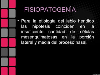 FISIOPATOGENÌA
• Para la etiología del labio hendido
  las hipótesis coinciden en la
  insuficiente cantidad de células
  mesenquimatosas en la porción
  lateral y media del proceso nasal.
 