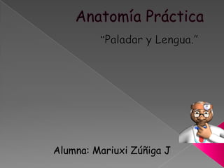 Anatomía Práctica “Paladar y Lengua.” Alumna: Mariuxi Zúñiga J 