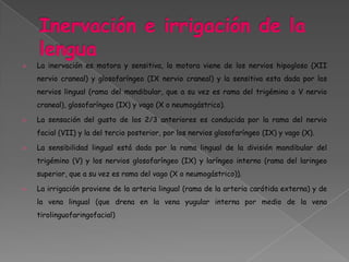 Istmo de las fauces es el espacio corto y constreñido que forma la conexión entre cavidad oral y orofaringe.