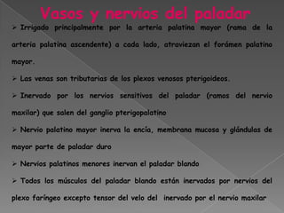 Paladar duro Es abovedado y el espacio que delimita está ocupado por la lengua.