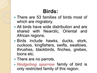 Birds:
 There are 53 families of birds most of
which are migratory.
 All birds have wide distribution and are
shared with Nearctic, Oriental and
African regions.
 Birds include hawks, ducks, stork,
cuckoos, kingfishers, swifts, swallows,
thrushes, blackbirds, finches, grebes,
loons etc.
 There are no parrots.
family of bird is
only restricted family of this region.
 
