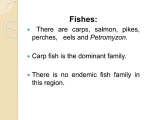 Fishes:
 There are carps, salmon, pikes,
perches, eels and Petromyzon.
 Carp fish is the dominant family.
 There is no endemic fish family in
this region.
 
