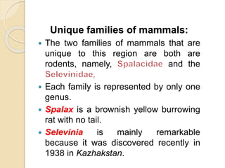 Unique families of mammals:
 The two families of mammals that are
unique to this region are both are
rodents, namely, and the
 Each family is represented by only one
genus.
 Spalax is a brownish yellow burrowing
rat with no tail.
 Selevinia is mainly remarkable
because it was discovered recently in
1938 in Kazhakstan.
 