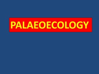 PALAEOECOLOGY
 