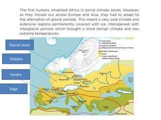 Glacial areas
Steppes
Tundra
Taiga
 