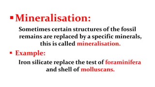 Mineralisation:
Sometimes certain structures of the fossil
remains are replaced by a specific minerals,
this is called mineralisation.
 Example:
Iron silicate replace the test of foraminifera
and shell of molluscans.
 