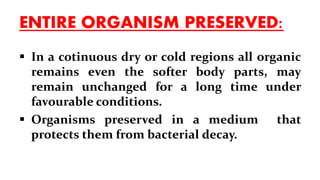 ENTIRE ORGANISM PRESERVED:
 In a cotinuous dry or cold regions all organic
remains even the softer body parts, may
remain unchanged for a long time under
favourable conditions.
 Organisms preserved in a medium that
protects them from bacterial decay.
 