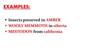 EXAMPLES:
 Insects preseved in AMBER
 WOOLY MEMMOTH in siberia
 MESTODON from california
 
