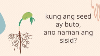 kung ang seed
ay buto,
ano naman ang
sisid?
 