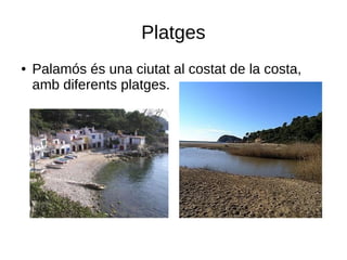 Platges
●   Palamós és una ciutat al costat de la costa,
    amb diferents platges.
 