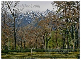 Trip to Palampur by Studenthook.com