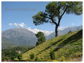 Trip to Palampur by Studenthook.com