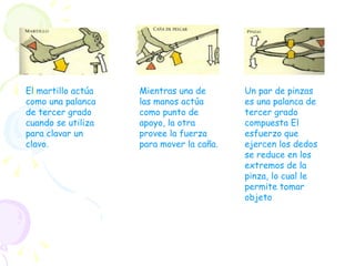 El martillo actúa como una palanca de tercer grado cuando se utiliza para clavar un clavo.  Mientras una de las manos actúa como punto de apoyo, la otra provee la fuerza para mover la caña. Un par de pinzas es una palanca de tercer grado   compuesta El esfuerzo que ejercen los dedos se reduce en los extremos de la pinza, lo cual le permite tomar objeto 