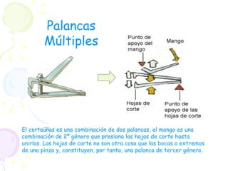 El cortaúñas es una combinación de dos palancas, el mango es una combinación de 2º género que presiona las hojas de corte hasta unirlas. Las hojas de corte no son otra cosa que las bocas o extremos de una pinza y, constituyen, por tanto, una palanca de tercer género. Palancas Múltiples 
