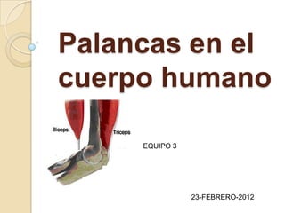 Palancas en el
cuerpo humano

     EQUIPO 3




                23-FEBRERO-2012
 