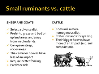 Targeted grazing Also called prescribed grazing<br />“The application of a specific kind of livestock at a determined seas...