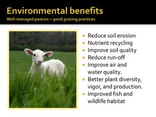 Environmental benefitsWell-managed pasture + good grazing practices <br />Reduce soil erosion<br />Nutrient recycling<br /...