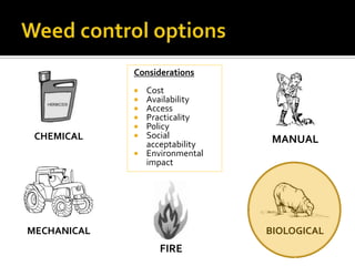 Weed control options<br />Considerations<br /><ul><li>Cost
