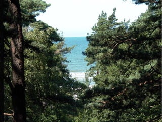 Palanga 2009
