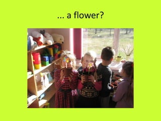 ... a flower?
 