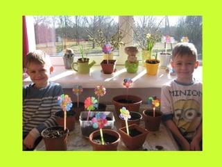 Our green windowsill