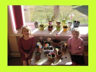 Our green windowsill