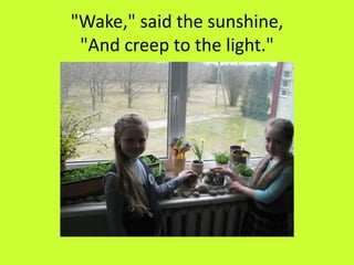 "Wake," said the sunshine,
"And creep to the light."
 