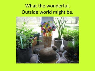 What the wonderful,
Outside world might be.
 