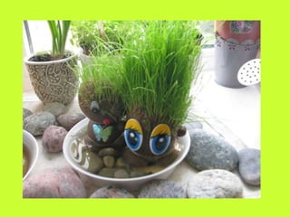 Our green windowsill