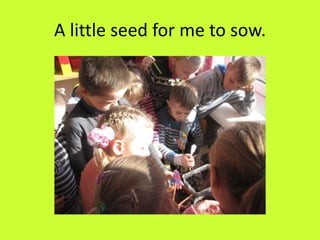A little seed for me to sow.
 