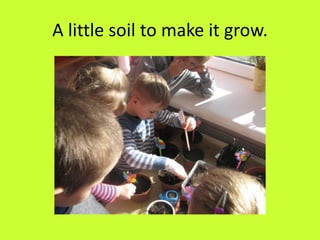 A little soil to make it grow.
 