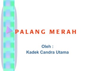 PALANG MERAH Oleh : Kadek Candra Utama 