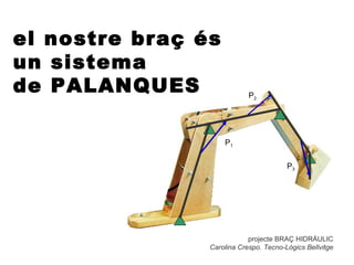 el nostre braç és
un sistema
de PALANQUES                P2




                    P1


                                        P3




                            projecte BRAÇ HIDRÀULIC
                Carolina Crespo. Tecno-Lògics Bellvitge
 