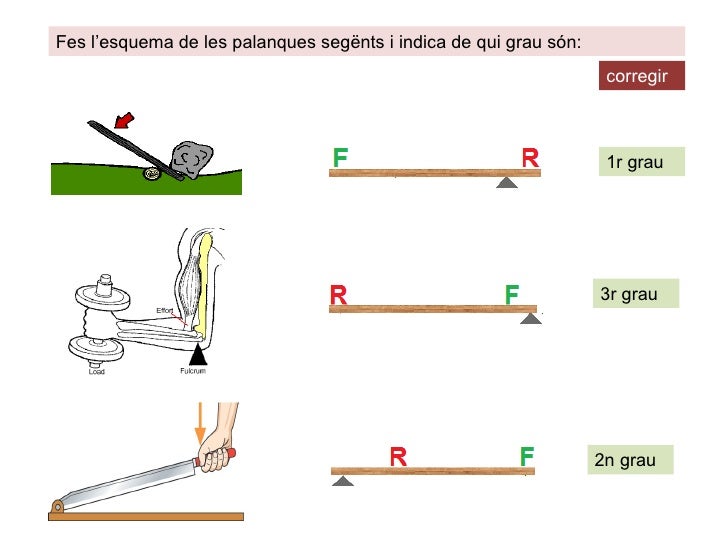 Resultat d'imatges de palanques en 1r grau, 2n grau i 3r grau