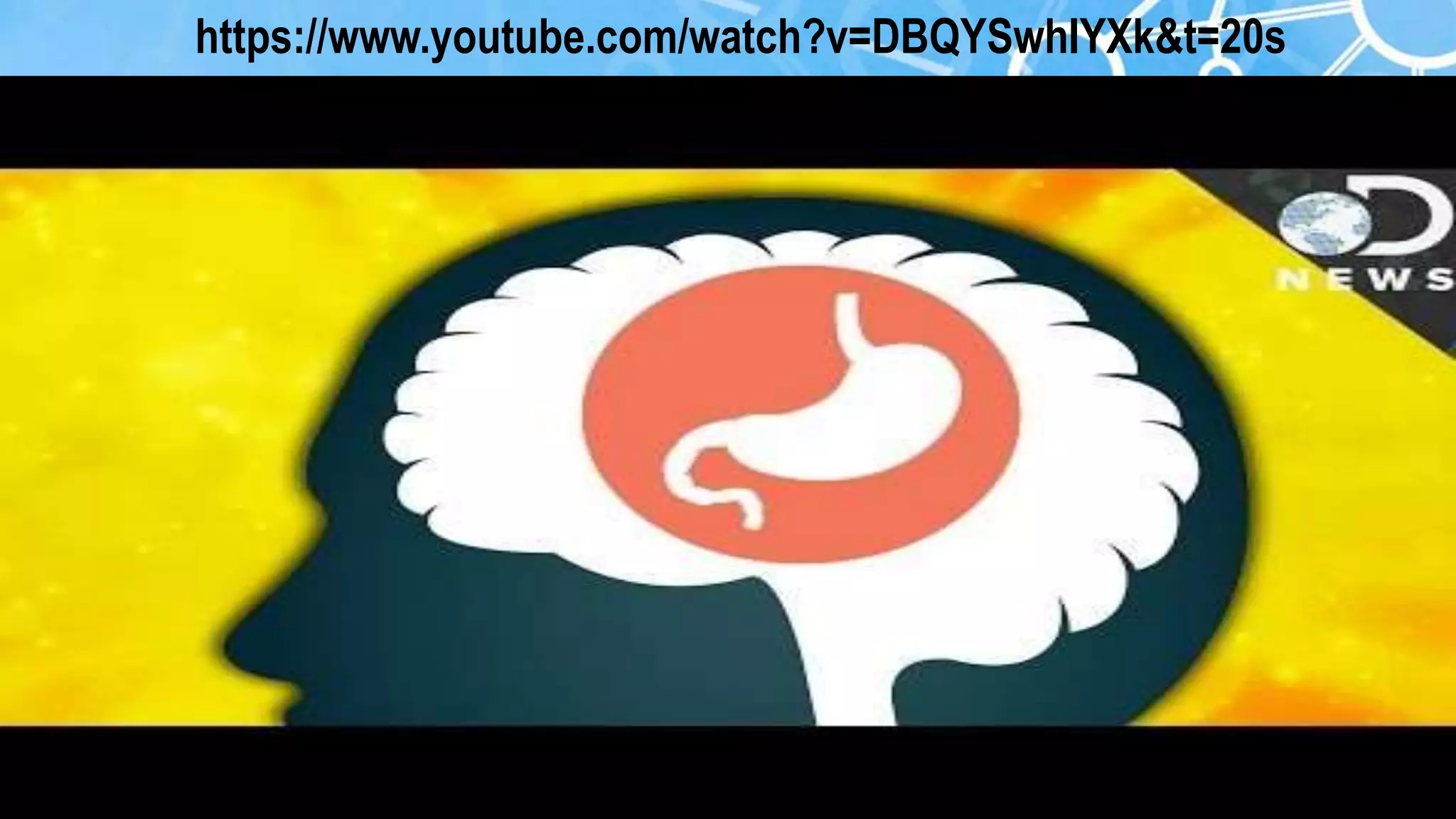 © Palash Badjatya
https://www.youtube.com/watch?v=DBQYSwhIYXk&t=20s
 