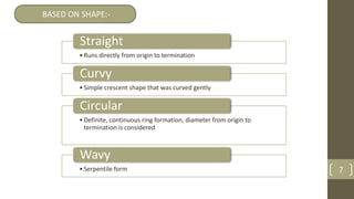 7
•Runs directly from origin to termination
Straight
•Simple crescent shape that was curved gently
Curvy
•Definite, continuous ring formation, diameter from origin to
termination is considered
Circular
•Serpentile form
Wavy
BASED ON SHAPE:-
 
